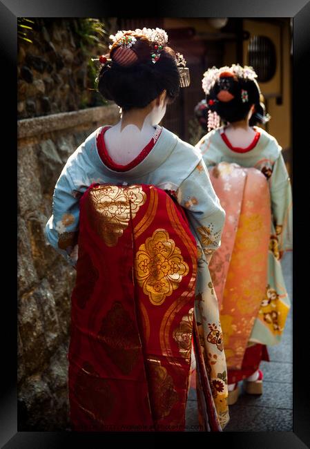 Details of geisha girl costume in the back Framed Print by Adelaide Lin
