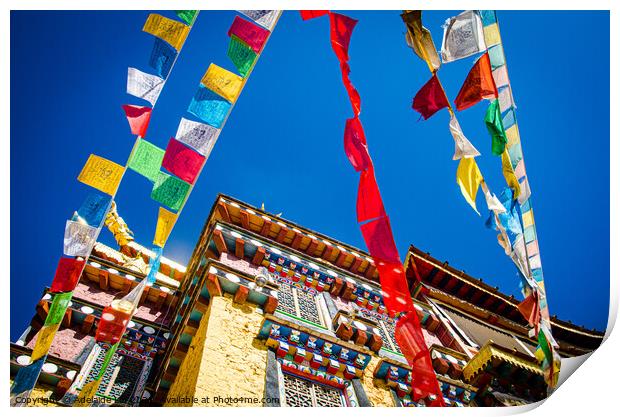 Colorful Tibetan prayer flags spreading good fortune hanging on  Print by Adelaide Lin
