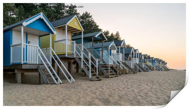 Wells Beach Huts (7) Print by Jo Sowden