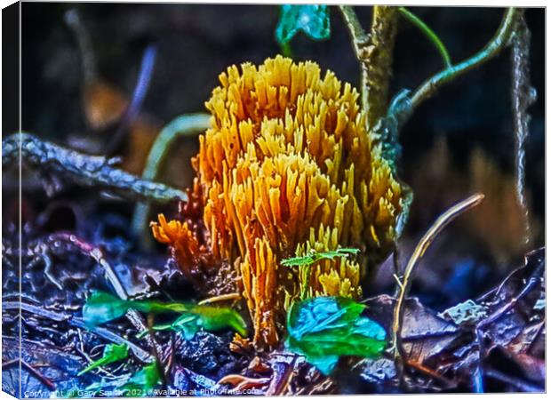 Coral Fungi Canvas Print by GJS Photography Artist