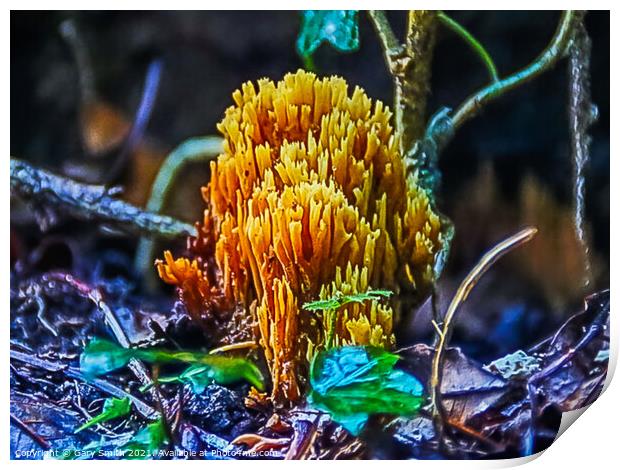 Coral Fungi Print by GJS Photography Artist