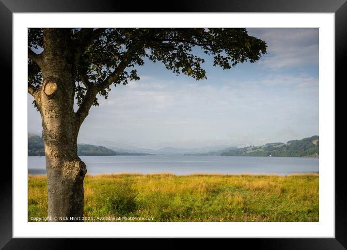 Tree by the Lake Framed Mounted Print by Nick Hirst