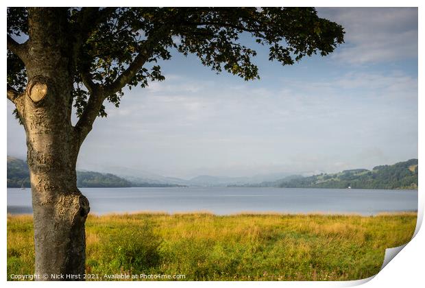 Tree by the Lake Print by Nick Hirst