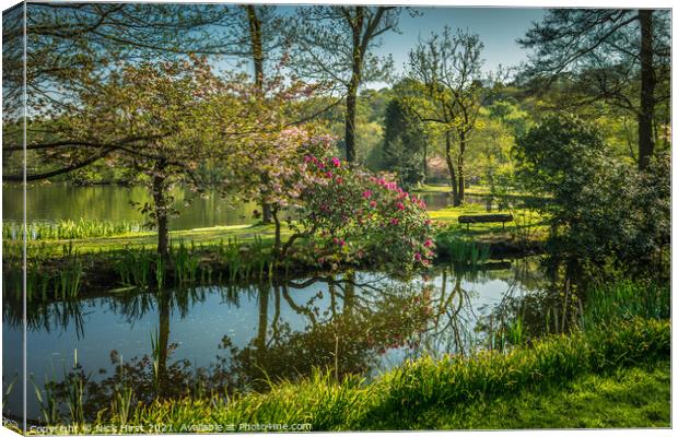 Reaching for the Water Canvas Print by Nick Hirst