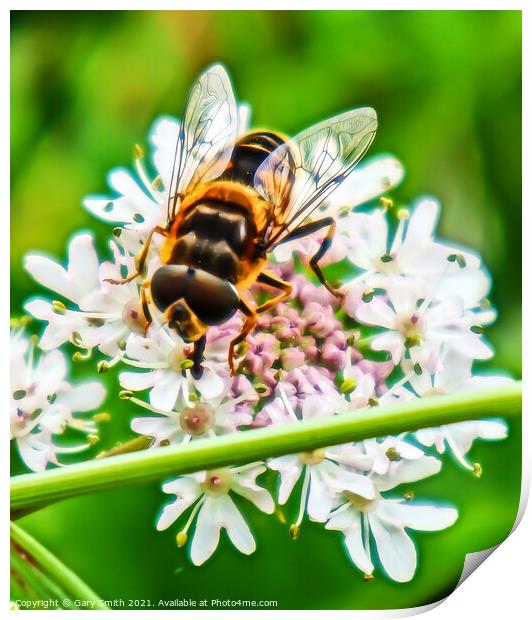 Honey Bee in Detail Print by GJS Photography Artist