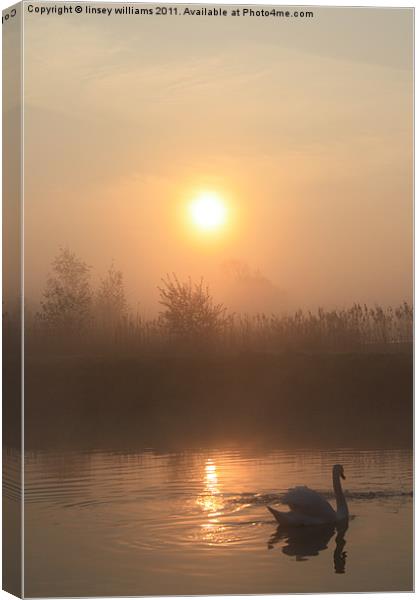 The peace of dawn Canvas Print by Linsey Williams