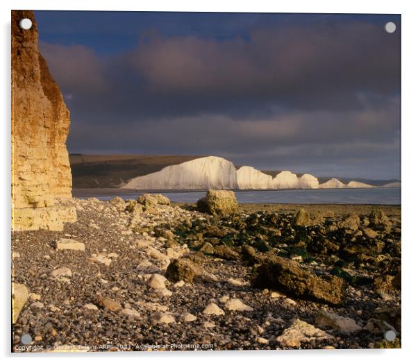 Seven Sisters from Cuckmere Haven, East Sussex, England, UK Acrylic by Geraint Tellem ARPS