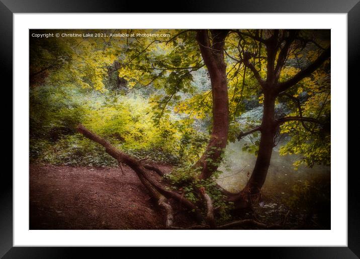 Lost In Nature Framed Mounted Print by Christine Lake