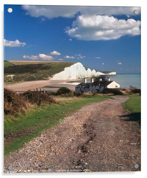 Seven Sisters, East Sussex, England, UK Acrylic by Geraint Tellem ARPS