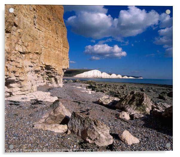 Seven Sisters from Cuckmere Haven, East Sussex, England, UK Acrylic by Geraint Tellem ARPS