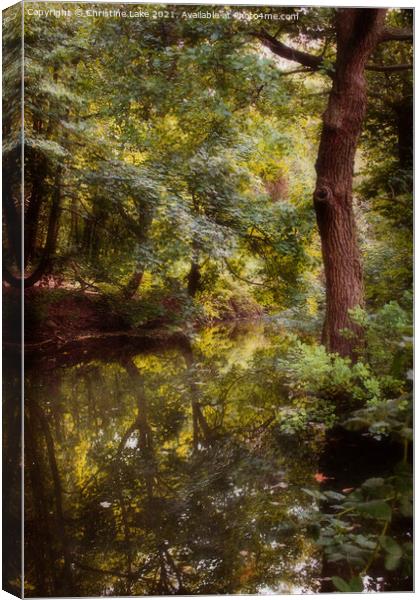 Lost In Nature 2 Canvas Print by Christine Lake