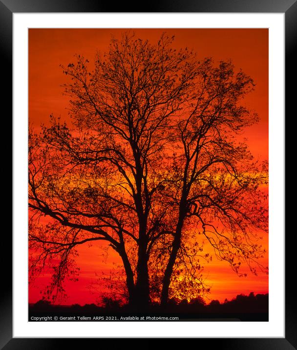 Tree at sunset, Kent, England, United Kijgdom Framed Mounted Print by Geraint Tellem ARPS