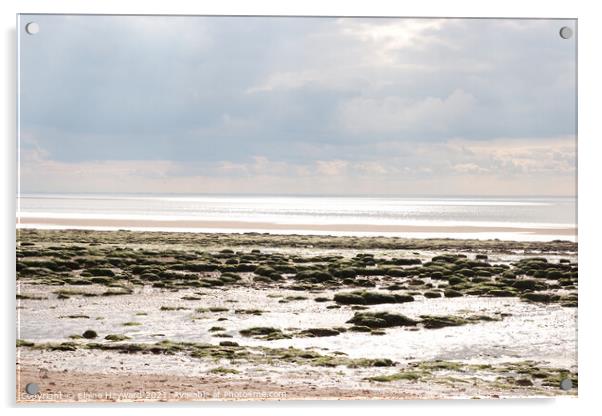 Low tide at Hunstanton Acrylic by Elaine Hayward