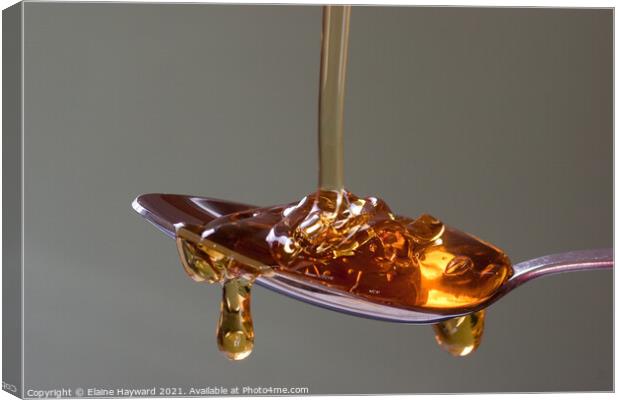 Golden syrup dripping from a silver spoon Canvas Print by Elaine Hayward