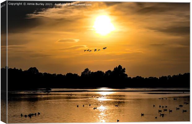 Geese Flying Over Big Waters at Sunset  Canvas Print by Aimie Burley