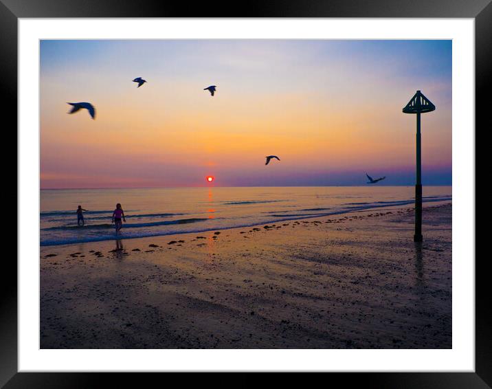 Last dip of the day  Framed Mounted Print by Philip Enticknap