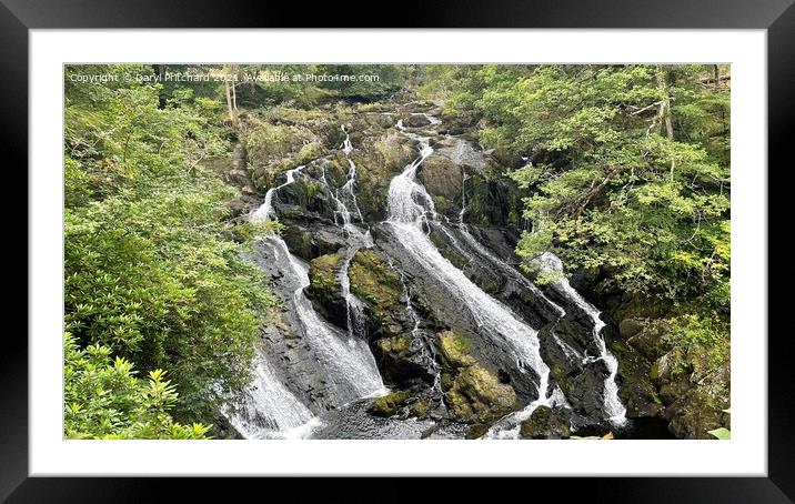 Swallow falls Framed Mounted Print by Daryl Pritchard videos