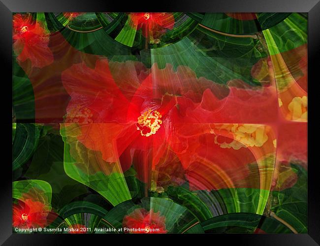 Hibiscus(abstract) Framed Print by Susmita Mishra