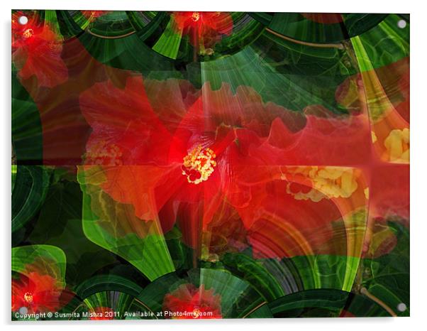 Hibiscus(abstract) Acrylic by Susmita Mishra