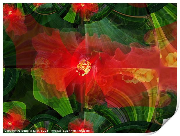 Hibiscus(abstract) Print by Susmita Mishra