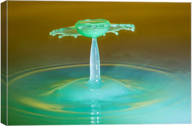 Water Drop Collision in Green Canvas Print by Antonio Ribeiro