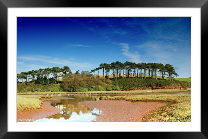 Budleigh Salterton Devon Framed Mounted Print by Les Schofield