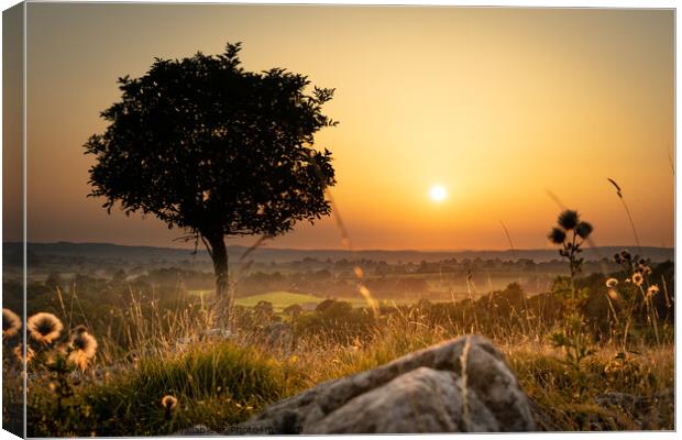 Storrs Common Sunset Canvas Print by Jim Day