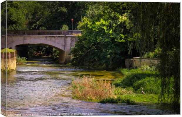 A view of the railway bridge over the river Canvas Print by Ann Biddlecombe