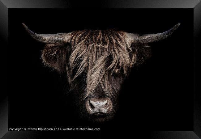 Highland cow close up Framed Print by Steven Dijkshoorn