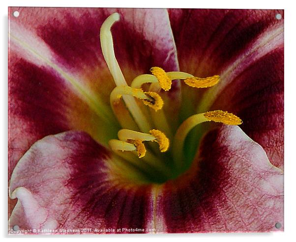 Lily Heart Acrylic by Kathleen Stephens