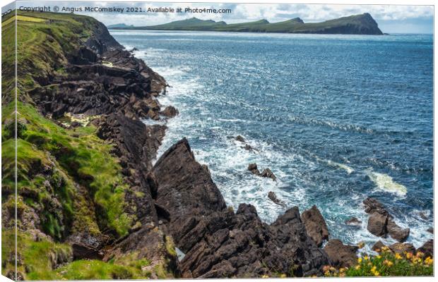 Sea cliffs at Feohanagh on the Dingle Peninsula Canvas Print by Angus McComiskey