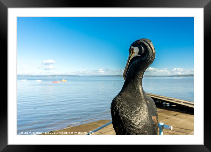 Stone Pelican Framed Mounted Print by Nick Hirst