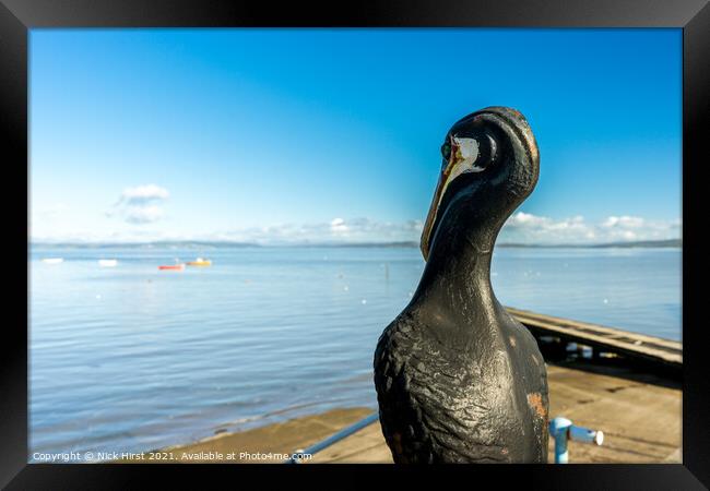 Stone Pelican Framed Print by Nick Hirst