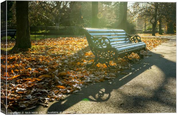 Sunny Seat Canvas Print by Nick Hirst