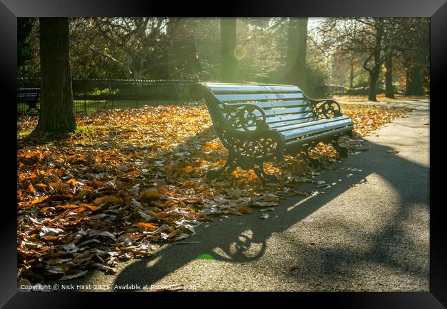 Sunny Seat Framed Print by Nick Hirst