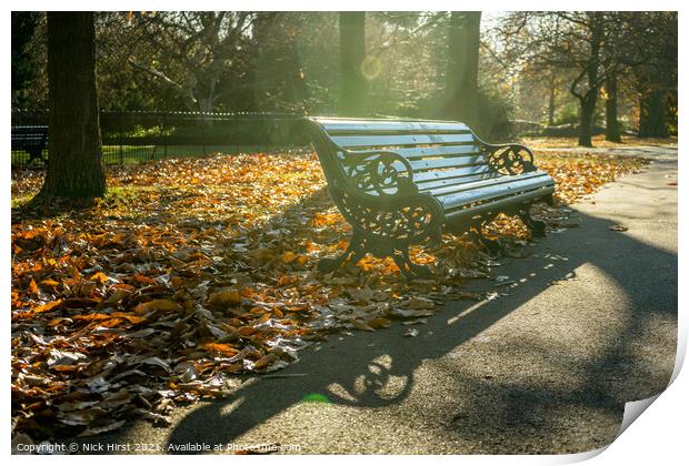 Sunny Seat Print by Nick Hirst