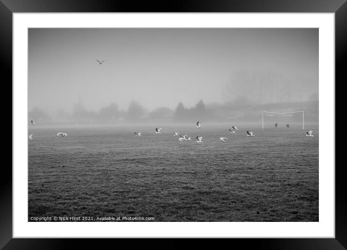 Seagulls in Flight Framed Mounted Print by Nick Hirst