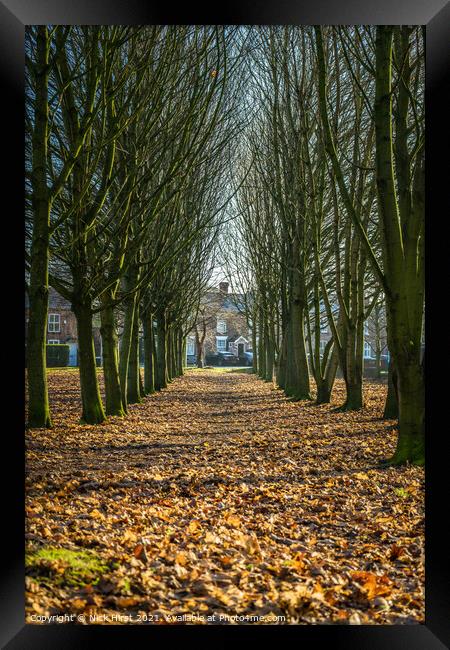 Tree Parade Framed Print by Nick Hirst