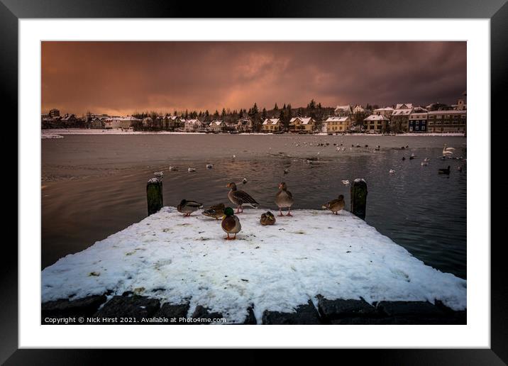 Ducks on a Pier Framed Mounted Print by Nick Hirst