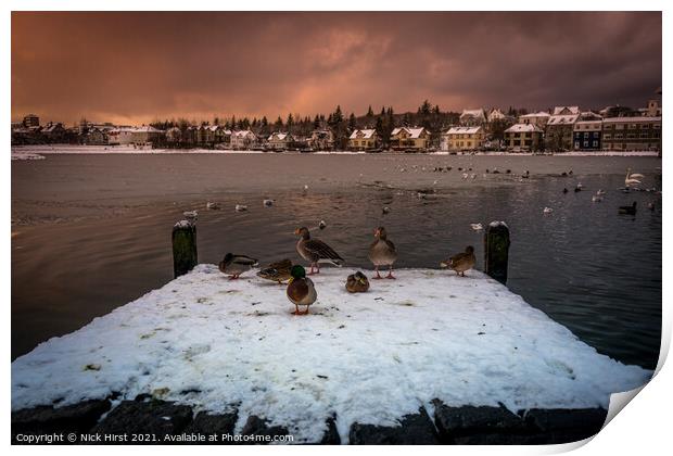 Ducks on a Pier Print by Nick Hirst