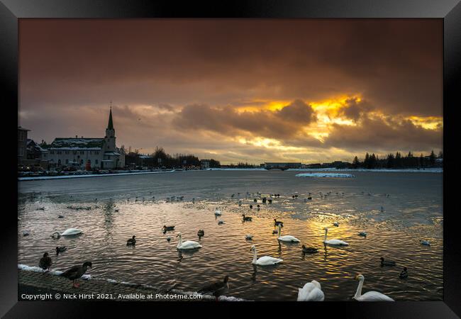 Birds of a Feather Framed Print by Nick Hirst