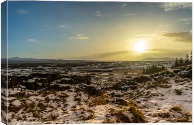Sunny Snowscape Canvas Print by Nick Hirst