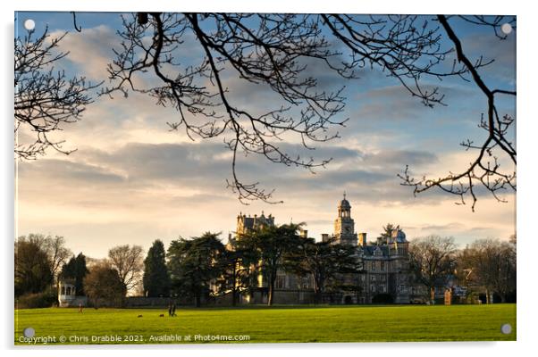 Thoresby Hall in late evening sunlight Acrylic by Chris Drabble
