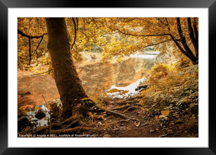 Autumnal Trees Framed Mounted Print by Angela H