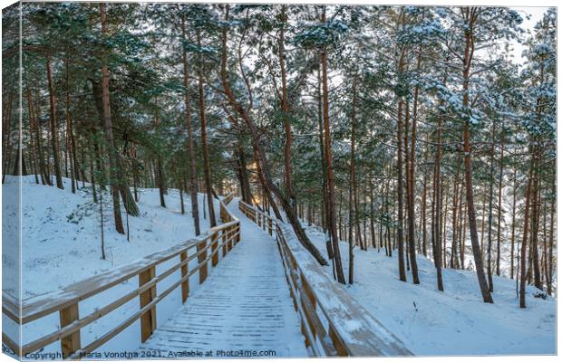 Wooden trail in winter snowy pine forest Canvas Print by Maria Vonotna