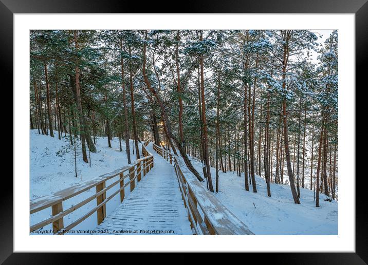 Wooden trail in winter snowy pine forest Framed Mounted Print by Maria Vonotna