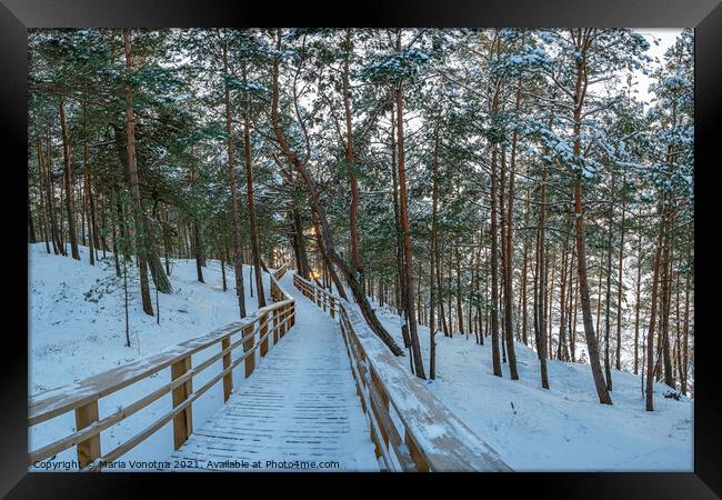 Wooden trail in winter snowy pine forest Framed Print by Maria Vonotna