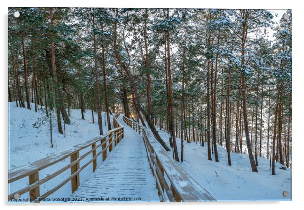 Wooden trail in winter snowy pine forest Acrylic by Maria Vonotna