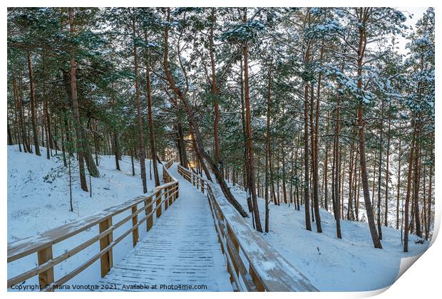 Wooden trail in winter snowy pine forest Print by Maria Vonotna