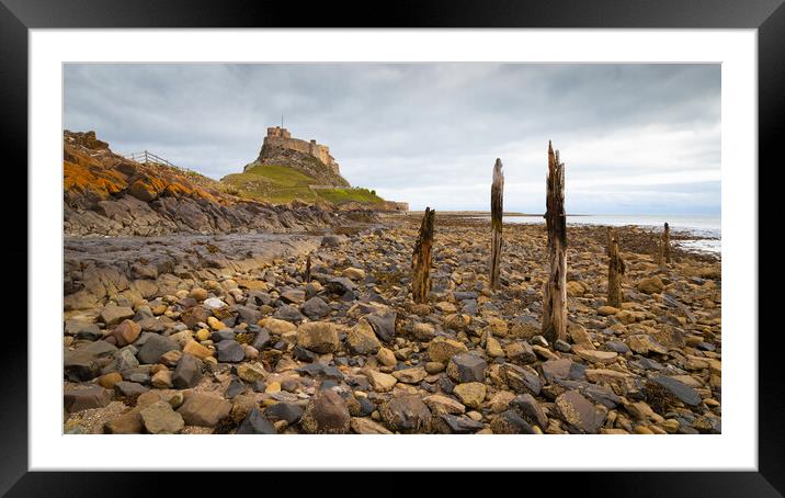 Lindisfarne Castle - Northumberland Framed Mounted Print by Phil Durkin DPAGB BPE4